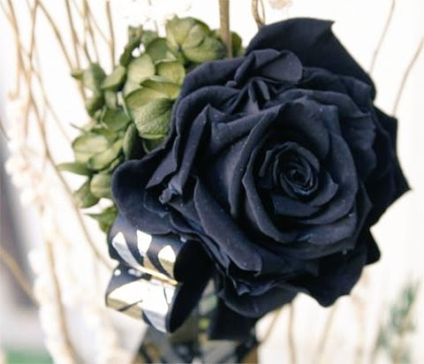 美しい花の画像 ロイヤリティフリー薔薇 花 言葉 黒
