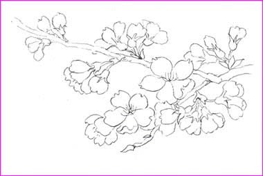 ベストコレクション 描き方 桜の 枝 イラスト 簡単