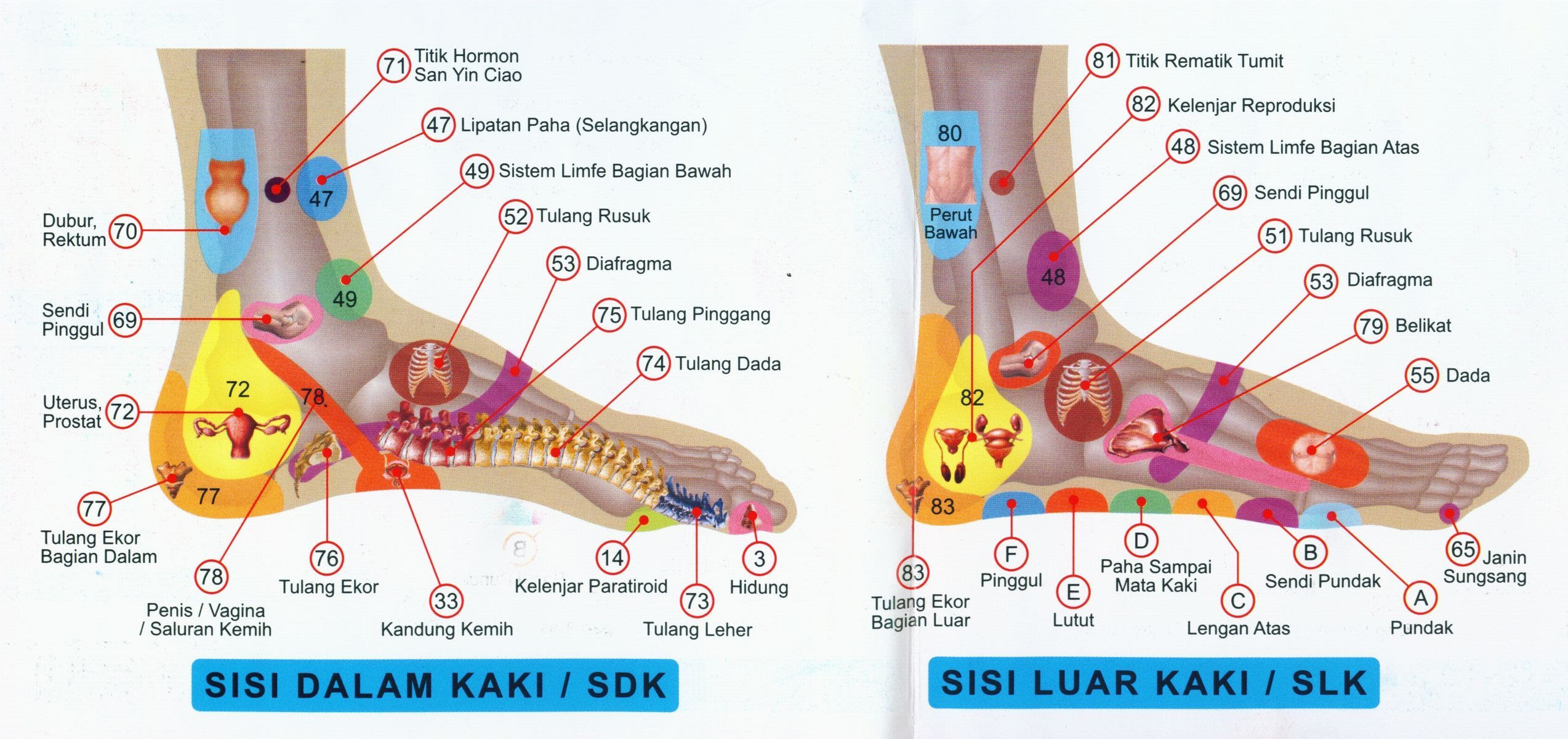 Pijat Traditional Indonesia - Pijaten
