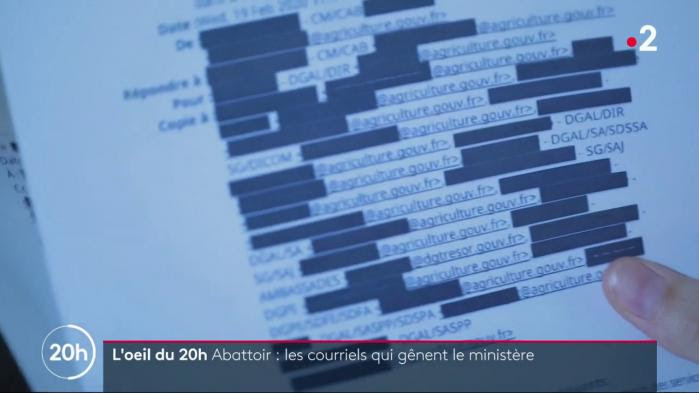 VIDEO. Abattoir de Sobeval : la fuite de courriels qui gêne le ministère