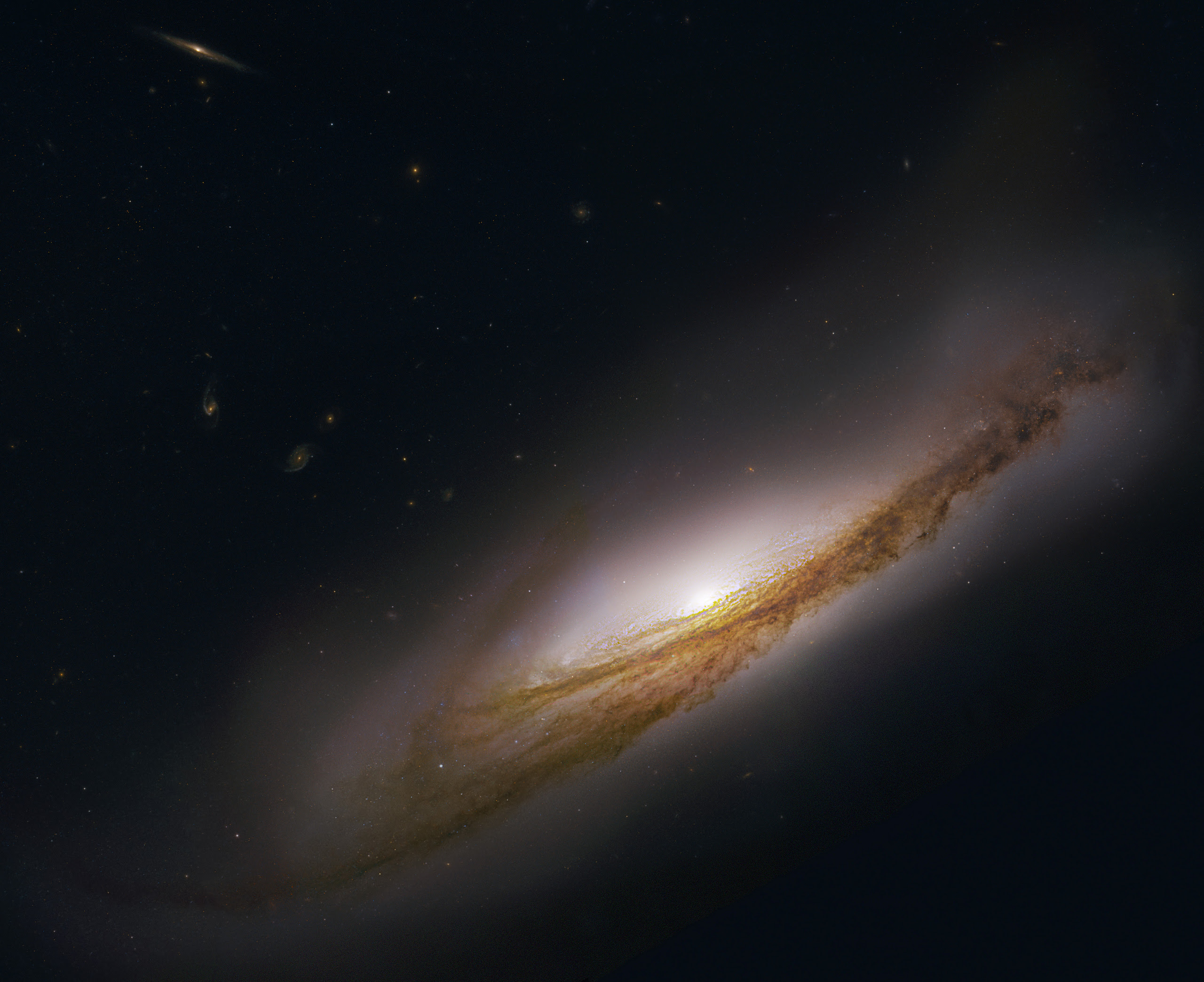 100 Epic Best壁紙 Nasa 画像 美しい花の画像