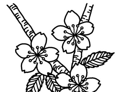 かわいいディズニー画像 桜 イラスト 塗り絵
