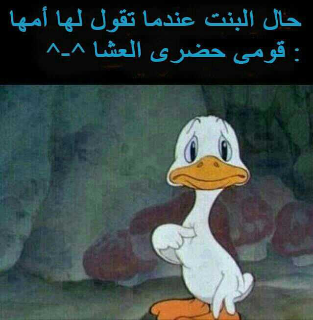 نحتاج أحياناً للترفيه عن انفسنا بإبتسامة وضحكة حتي وان كانت مصطنعة وذالك لنخرج انفسنا مما نعيشه من لحظات كثيرة صعبة وشاقة من متاعب الحياة المختلفة ونبحث عن ما يجعلنا. ØµÙˆØ± Ù…Ø¶Ø­ÙƒÙ‡ Ø¹Ù† Ø§Ù„Ø¨Ù†Ø§Øª Ø§Ù„Ø§Ø²ÙŠØ§Ø¡ Ø§Ù„Ù…Ø¶Ø­ÙƒØ© Ù„Ù„Ø³ÙŠØ¯Ø§Øª ØµØ¨Ø§Ø­ Ø§Ù„ÙˆØ±Ø¯