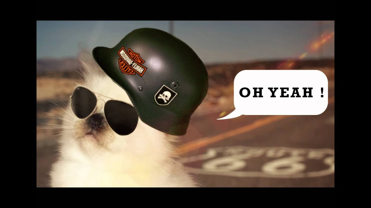 Carte Joyeux Anniversaire Harley Davidson Shan