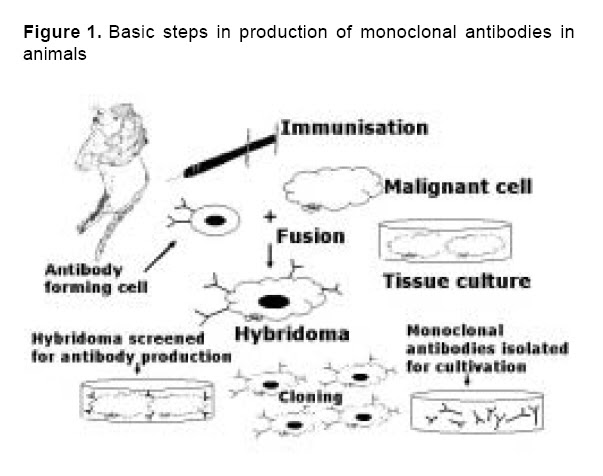 A monoclonal antibody (3h8) is developed against c. Bioline International Official Site Site Up Dated Regularly