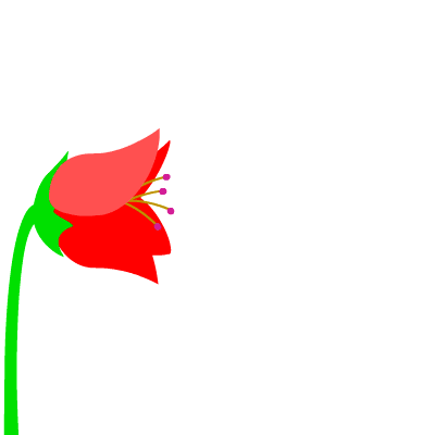 Amazing time lapse photography of variety of lillies, peonies. Free Transparent Flower Gif Tumblr Download Free Clip Art Free Clip Art On Clipart Library