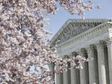 In this March 16, 2020, file photo, a tree blooms outside the Supreme Court in Washington. (AP Photo/Patrick Semansky, File)