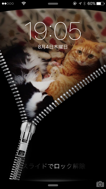 ディズニー画像ランド 綺麗なiphone 猫 壁紙 おしゃれ