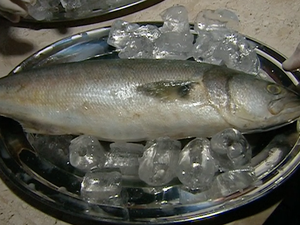 Segundo biólogo, primeira orientação é escolher bem o produto (Foto: Reprodução/TV Asa Branca)