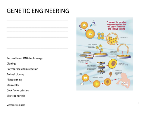 32 Genetics Webquest Worksheet Answers - Worksheet Data Source