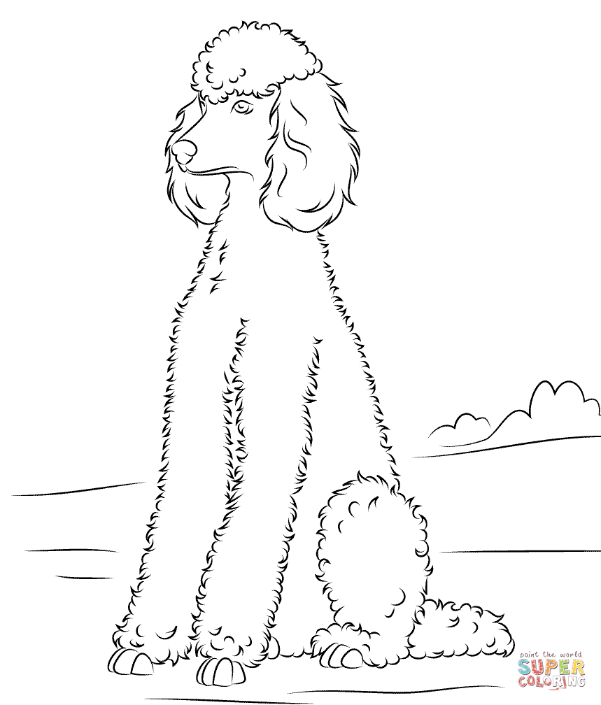 Printable nature coloring pages coloring page for both aldults and kids. Standard Poodle Coloring Page Clip Art Library