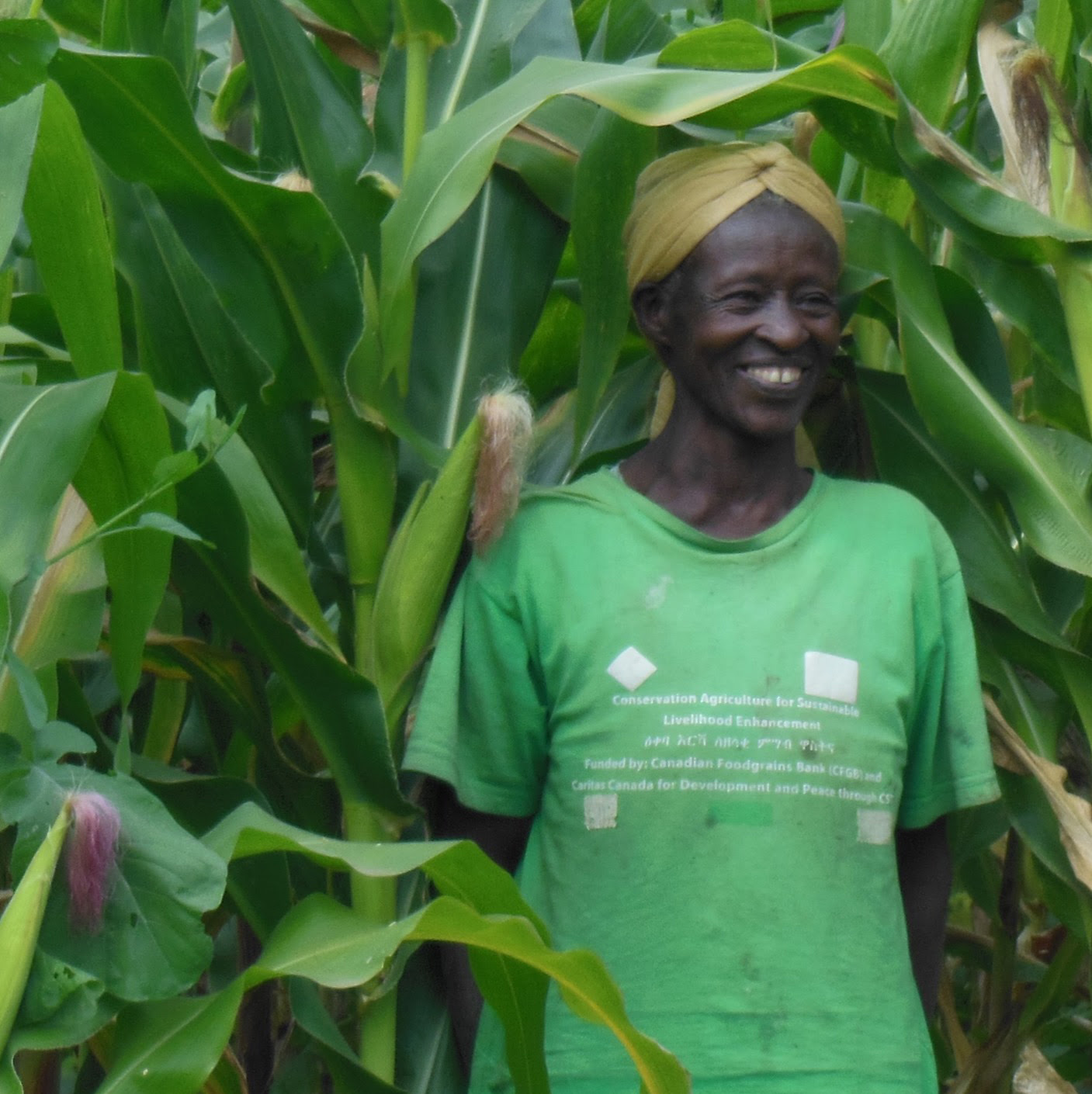 Photo of a smiling Barari wearing a green t-shirt, standing amongst tall green crops.