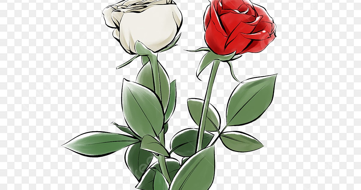 Paling Populer 19+ Gambar Mawar Merah Hati - Gambar Bunga HD