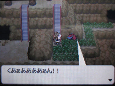 ポケモン エメラルド 増殖 バグ 壁紙画像マンガ