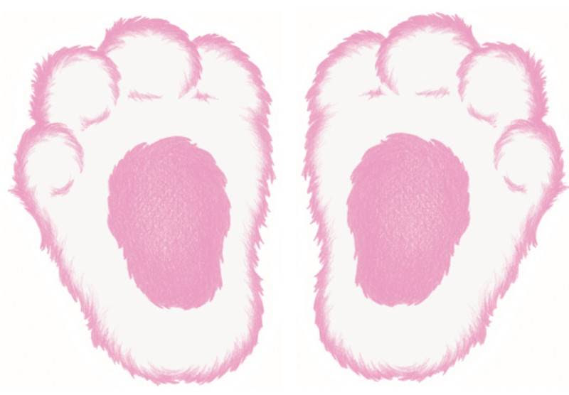 Turkey beak and feet template. Free Bunny Footprints Cliparts Download Free Bunny Footprints Cliparts Png Images Free Cliparts On Clipart Library
