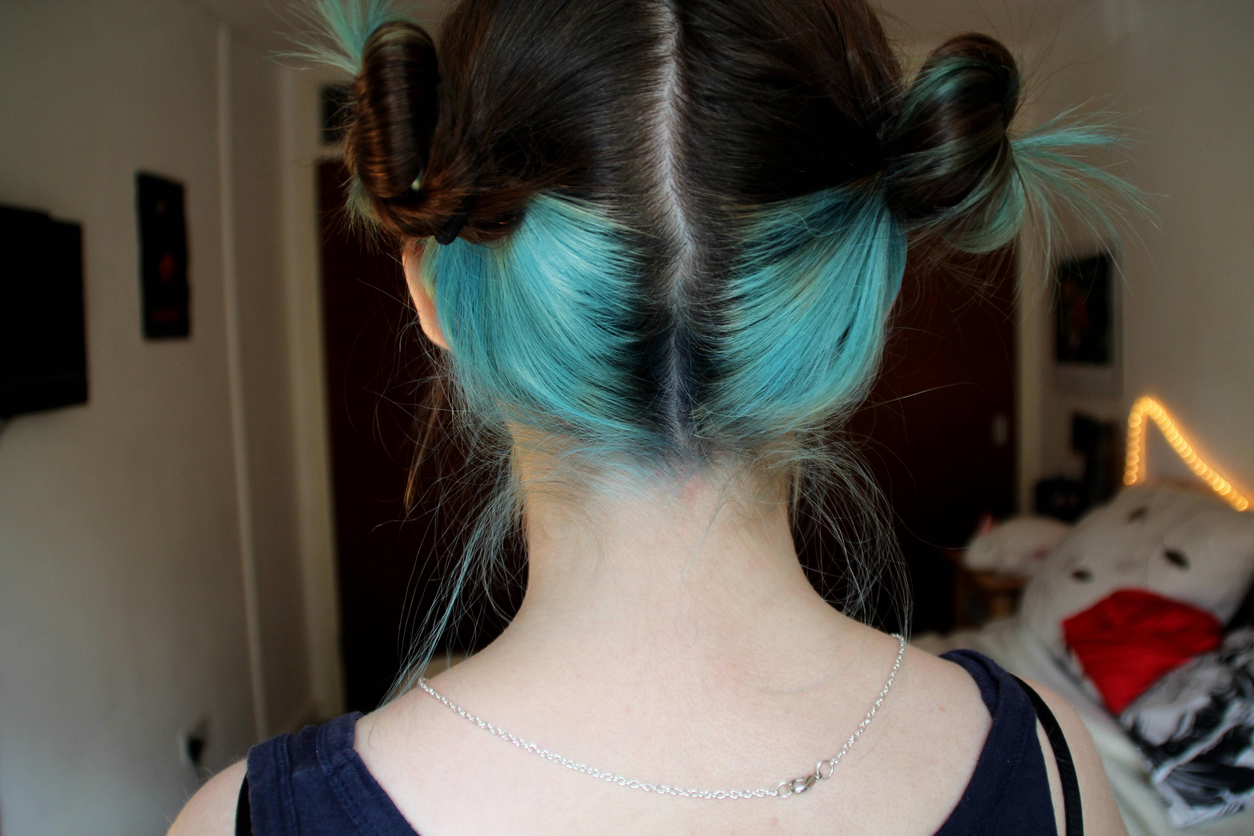 49 Popular Color Bottom Half Of Hair