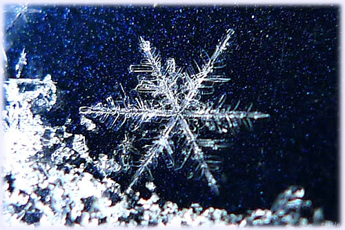 すべての美しい花の画像 元の雪 結晶 壁紙