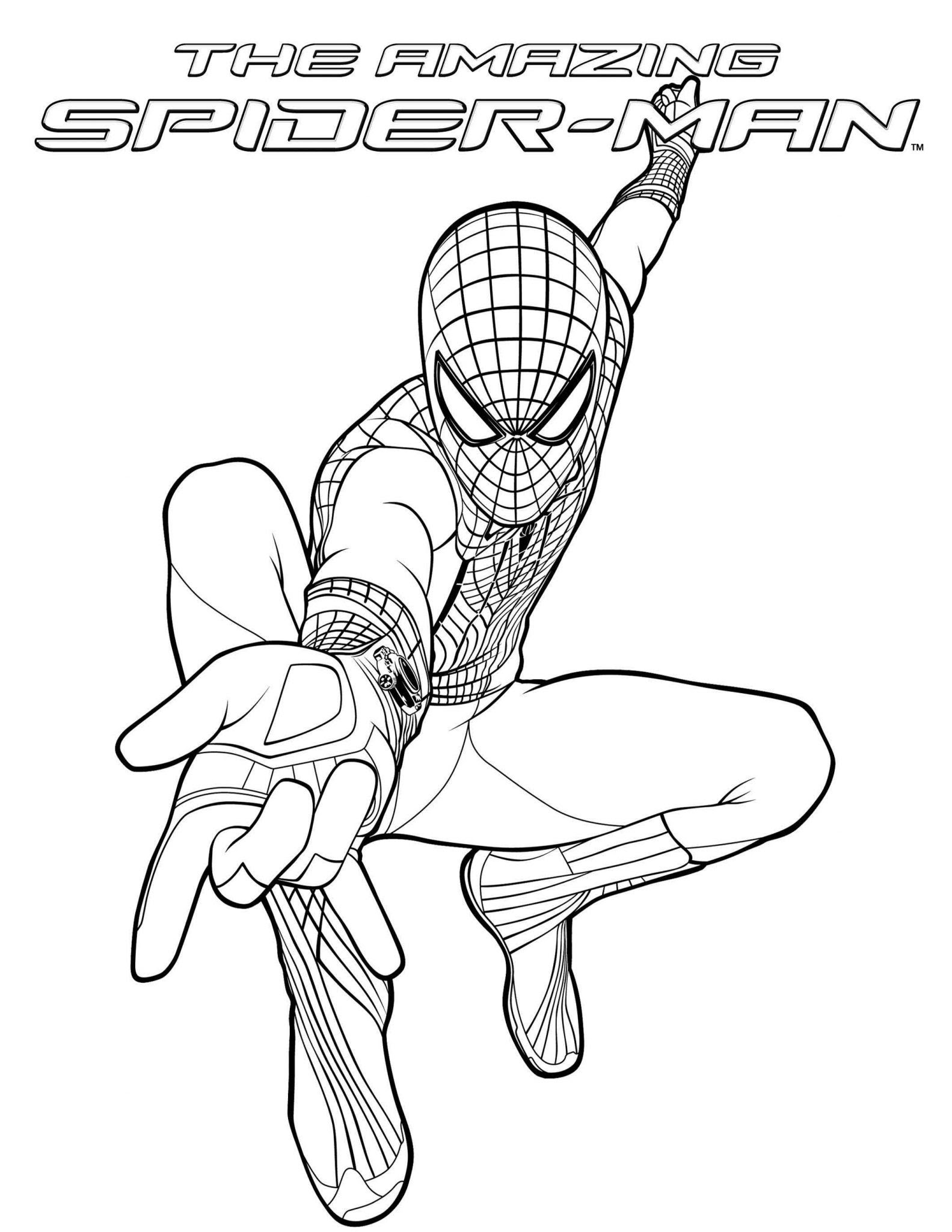 Gambar Spiderman Gambar Mewarnai Spider Man
