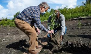 El Secretario General António Guterres (izquierda) con el ministro de Asuntos Exteriores de Surinam, Albert Ramdin, plantan un mangle joven en el sitio de rehabilitación de manglares Weg Naar Zee en Surinam.