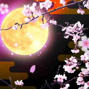最高の夜桜 桜 かっこいい 壁紙 花の画像