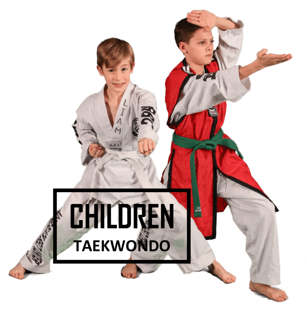 We did not find results for: About Abbc Agape Black Belt Center Tae Kwon Do Judo