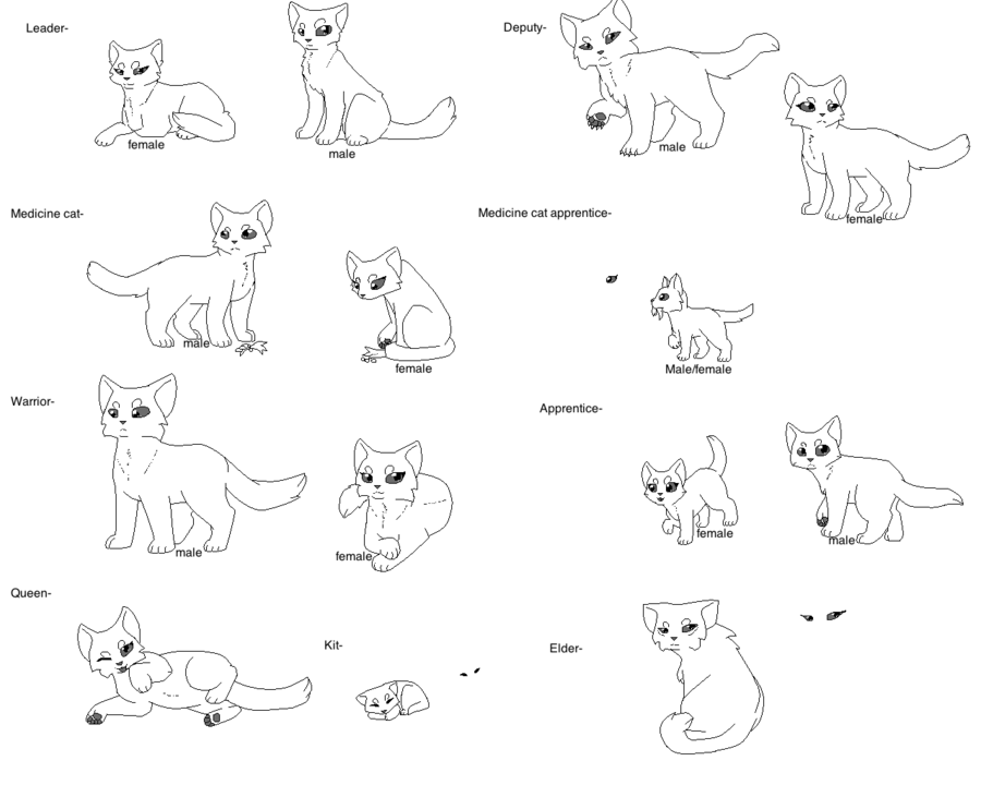anime warrior cats coloring pages  anime wallpapers