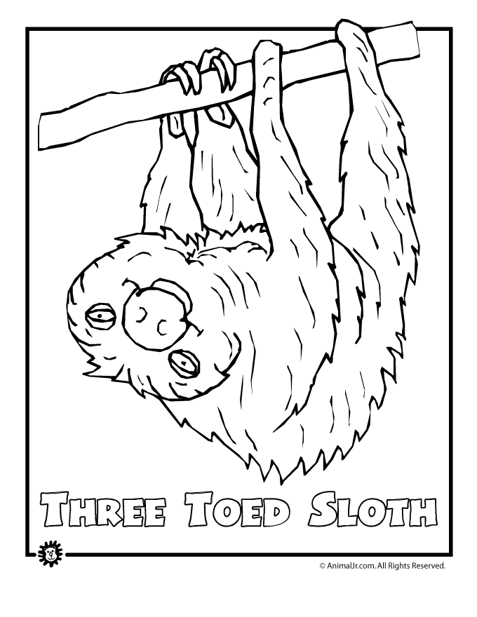 Jungle animals coloring pages free. Free Jungle Animals Coloring Pages Free Download Free Jungle Animals Coloring Pages Free Png Images Free Cliparts On Clipart Library