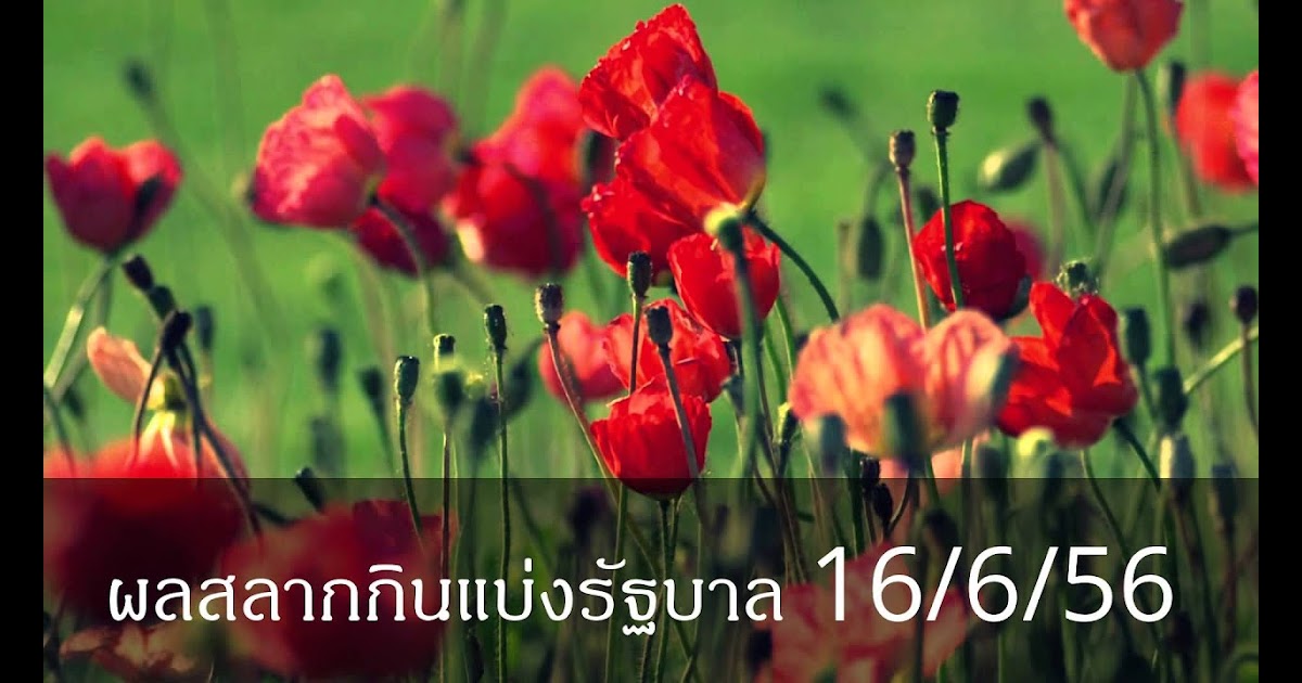 ตรวจหวยวันที่ 16 กุมภาพันธ์ 61 / ตรวจหวย รางวัลที่ 1 งวด ...