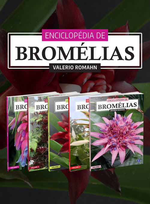 Enciclopédia de Bromélias