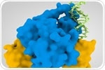 Regulatory Mechanisms Involved in Gene Expression