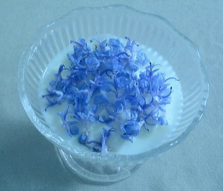 Hd限定ローズマリー 花 食べられる 最高の花の画像