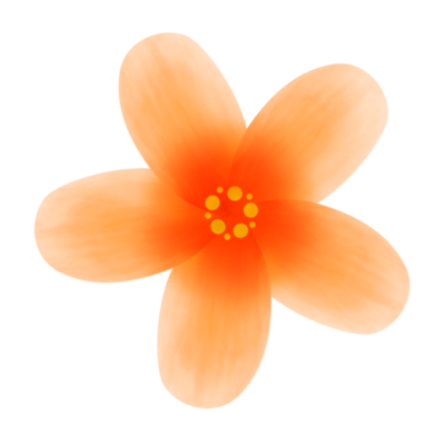 最高かつ最も包括的なかわいい オレンジ 花 イラスト 無料イラスト集