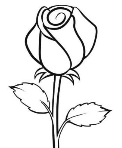 30+ Trend Terbaru Gambar Sketsa Bunga Mawar Simple ...