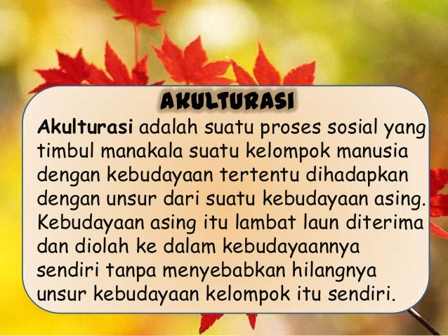 Contoh Proses Akulturasi Di Masyarakat - Ndang Kerjo