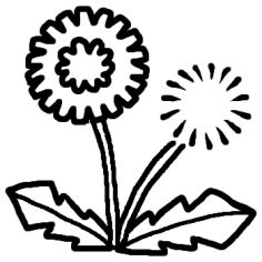 トップ100 たんぽぽ イラスト 白黒 美しい花の画像