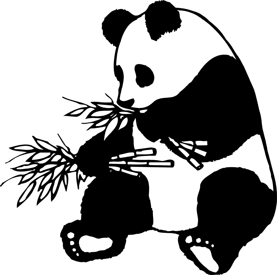 Rumah Karikatur Gambar Karikatur Hewan Panda
