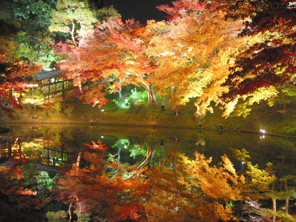 日本 風景 壁紙 Jpbestwallpaper
