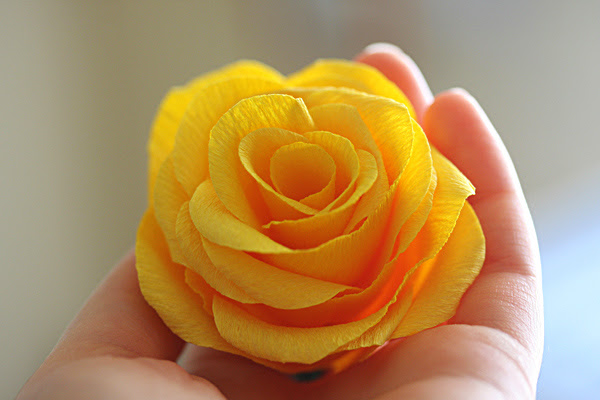 すべての美しい花の画像 元のクレープペーパー 花 作り方 簡単