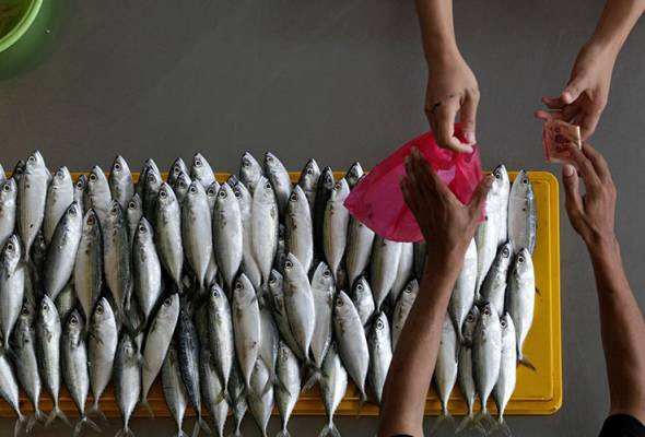 Harga Ikan Kembung "Cekik Darah", Peniaga Laksa Juga Mengeluh | ALAM VIRAL