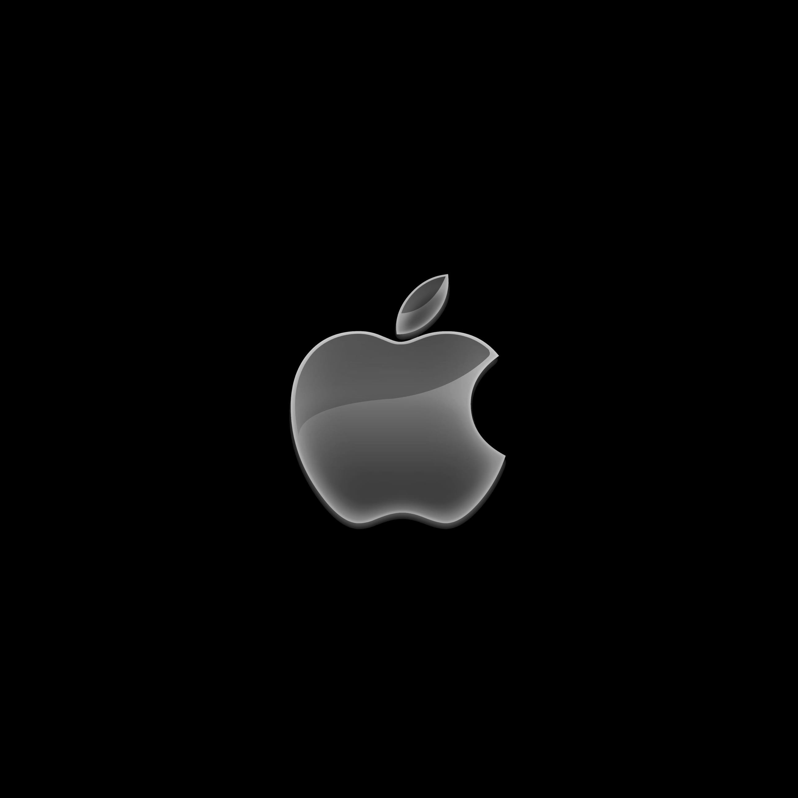 上高 画質 Ipad 壁紙 Apple 最高の花の画像