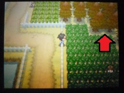 ポケモン ホワイト 2 ウラ 技 世界漫画の物語