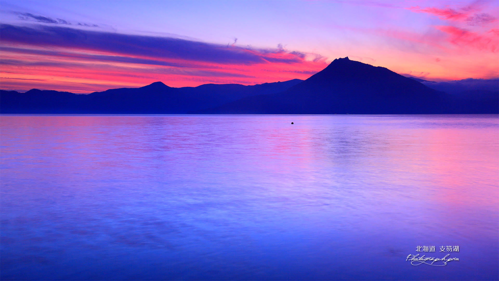すべての花の画像 最高夕暮れ 壁紙 高画質