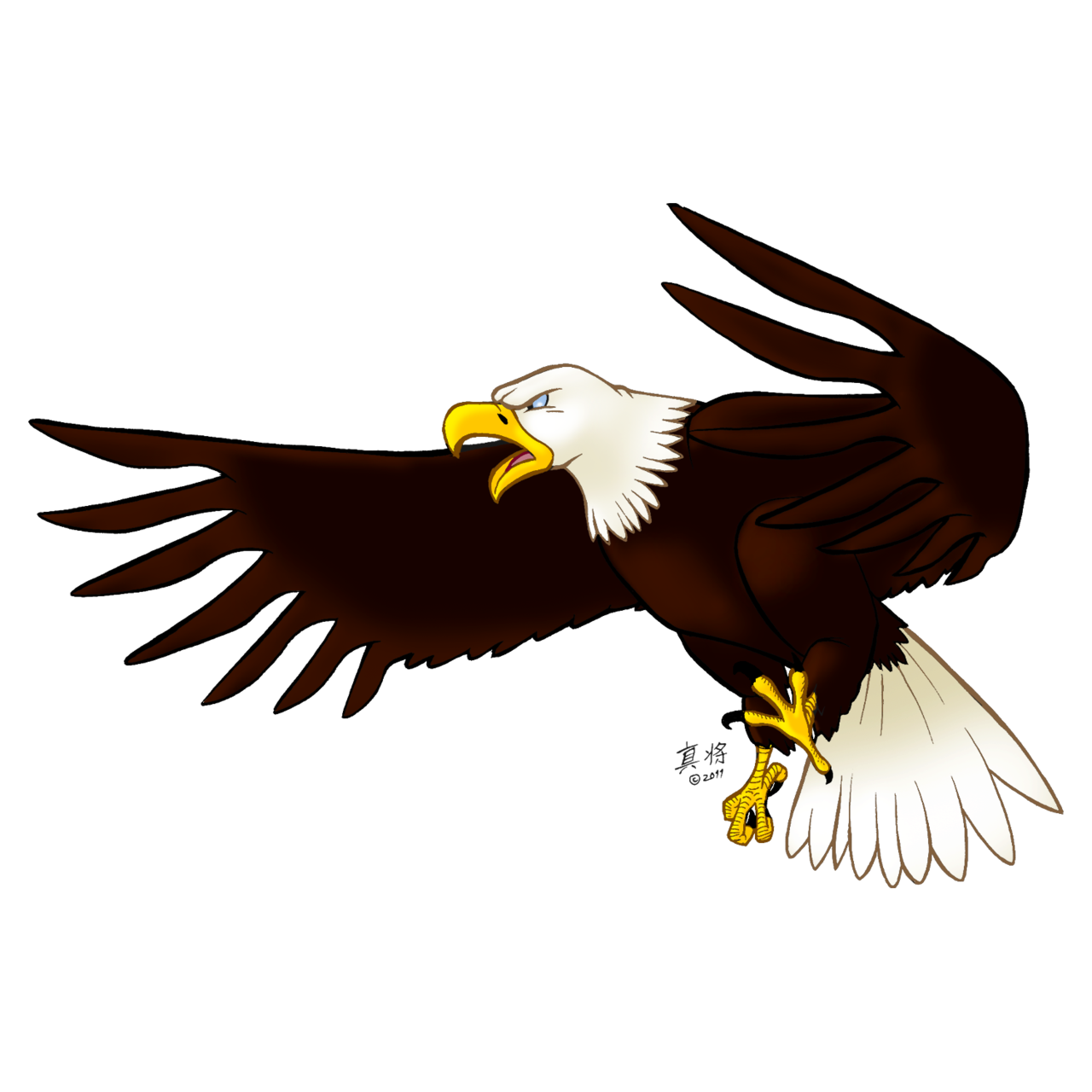  Gambar Burung Png Gambar V