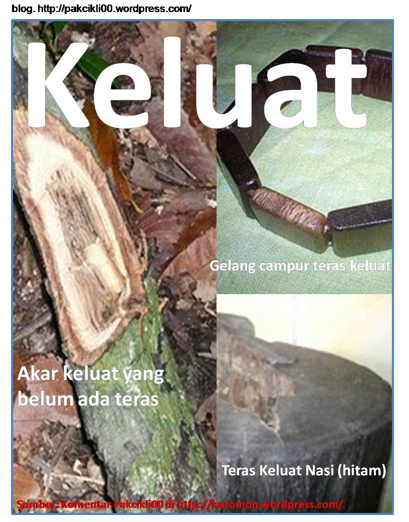 Ubat Tradisional Untuk Gigi Berlubang - Lowongan Kerja Terbaru