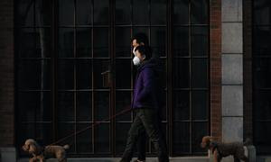 Dos peatones paseando a sus perros en la ciudad china de Shanghai durante la pandemia de COVID-19. (Foto de archivo)