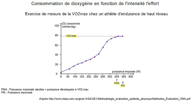 Ici on pourrait découper le graphique en deux parties : Svtik Fiches De Methodologie Pour Les Svt