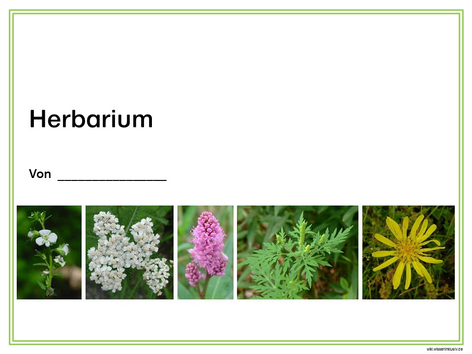 Botanical specimen art free printable herbarium vorlage discover ideas about herbarium vorlage. Herbarium Deckblatt Vorschlage Wiki Wisseninklusiv