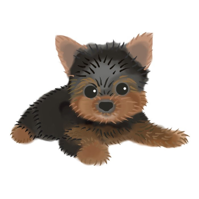 美しい花の画像 ベスト50 簡単 ヨークシャー テリア イラスト