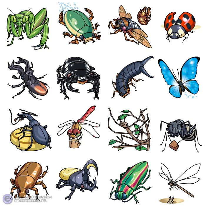 最高のイラスト画像 最新のhdカブトムシ クワガタ イラスト
