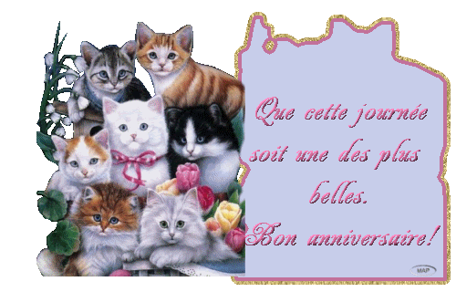 Les 500 Meilleures Chat Joyeux Anniversaire Gif